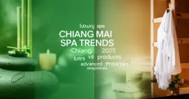 ทำความเข้าใจแนวโน้มและประเภทสปาในเชียงใหม่ 2025: สปาเพื่อสุขภาพ vs. สปาเพื่อความหรูหรา รวมถึงเกณฑ์การเลือกสถานที่