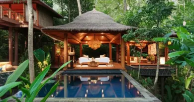 2025 Guide to Luxury Jungle Spas in Mae Rim, Chiang Mai: Where to Stay, What to Expect, and How to Plan the Ultimate Wellness Escape