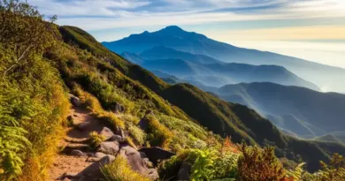 Best Routes and Hiking Trails on Doi Inthanon — Difficulty, Duration, and What to Expect in 2025