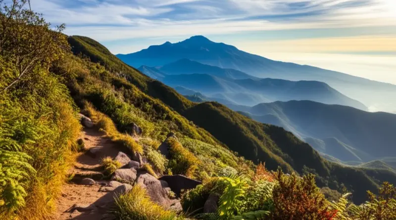 Best Routes and Hiking Trails on Doi Inthanon — Difficulty, Duration, and What to Expect in 2025