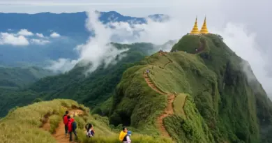 Doi Inthanon Day Trips 2025: Complete Guide to Trails, Twin Pagodas, Weather and Practical Tips