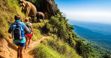 Top Outdoor Adventures: Hiking, Doi Suthep, Elephant Sanctuaries, Water Sports, and Day Trips
