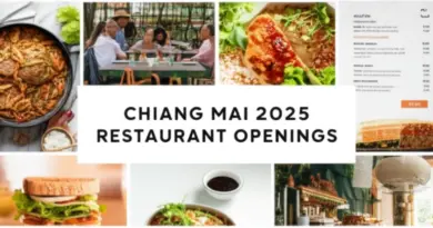 What to Expect: Menus, Price Ranges, Dietary Options, and Ambience at Chiang Mai’s 2025 Openings