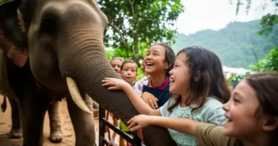 Activities and Attractions for Kids and Teens — Elephant Experiences, Cultural Workshops, Night Markets, and Nature Excursions