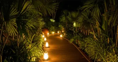 Best Night Safaris Near Chiang Mai: Tickets, Tours, Animal Encounters, and Insider Tips for 2025