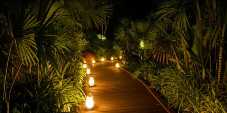 Best Night Safaris Near Chiang Mai: Tickets, Tours, Animal Encounters, and Insider Tips for 2025