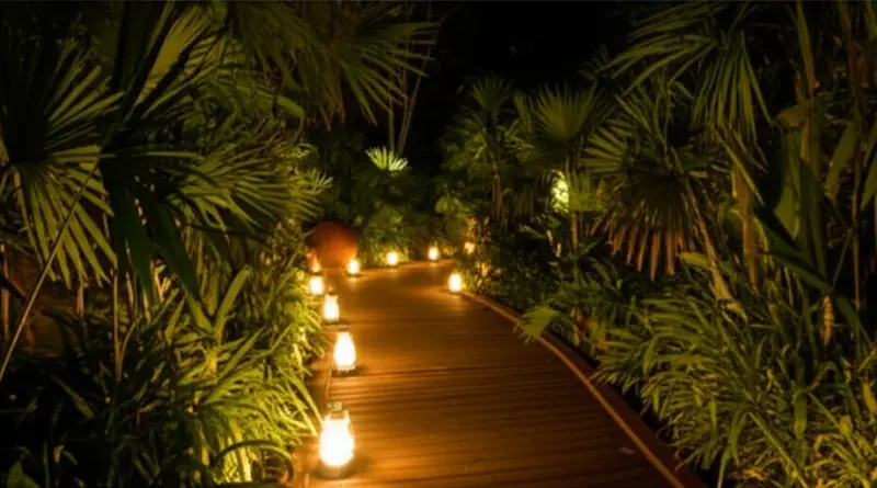 Best Night Safaris Near Chiang Mai: Tickets, Tours, Animal Encounters, and Insider Tips for 2025