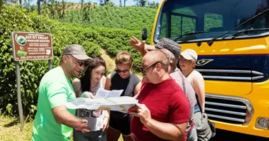 How to Plan a Coffee Farm Tour: Transportation, Local Guides, Eco-Friendly Practices, and Costs