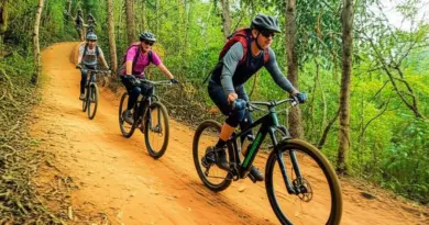 Mountain Biking and E‑Bike Routes Near Chiang Mai 2025: Ultimate Guide to Trails, Rentals, Difficulty Levels, and Safety Tips