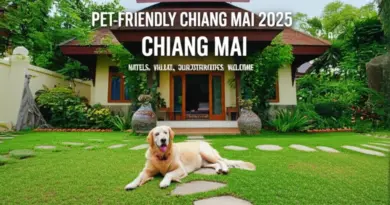 Pet-Friendly Accommodations in Chiang Mai 2025: Ultimate Guide to Hotels, Villas, and Guesthouses That Welcome Pets