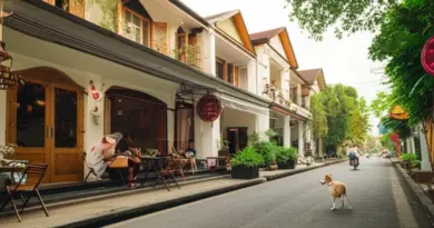 Top neighborhoods and areas in Chiang Mai for pet-friendly stays (Nimmanhaemin, Old City, Riverside, and beyond)
