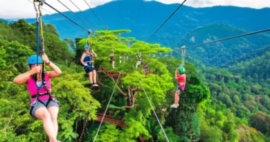 Zipline and Canopy Tours in Chiang Mai 2025: Ultimate Guide to Choosing, Booking, and Experiencing the Best Aerial Adventures