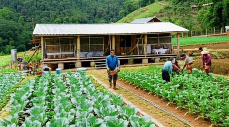 How Chiang Mai Farms Supply Restaurants: Seasonal Produce, Organic Certification, On-site Gardens, and Farmer Partnerships
