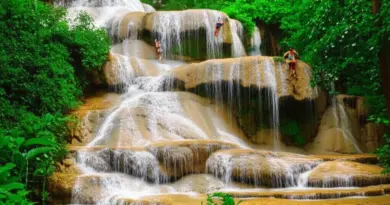 What to Expect at the Sticky Waterfall: Water Levels, Climbing Conditions, Flora & Wildlife by Season