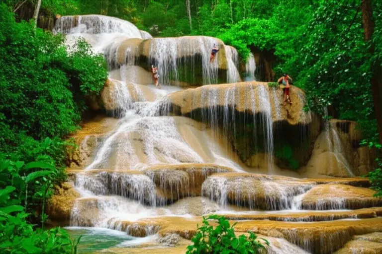 What to Expect at the Sticky Waterfall: Water Levels, Climbing Conditions, Flora & Wildlife by Season