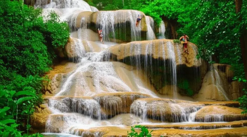 What to Expect at the Sticky Waterfall: Water Levels, Climbing Conditions, Flora & Wildlife by Season