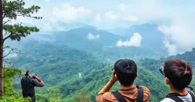 Best Trails, Viewpoints, and Local Guides for Spotting Birds on Doi Inthanon