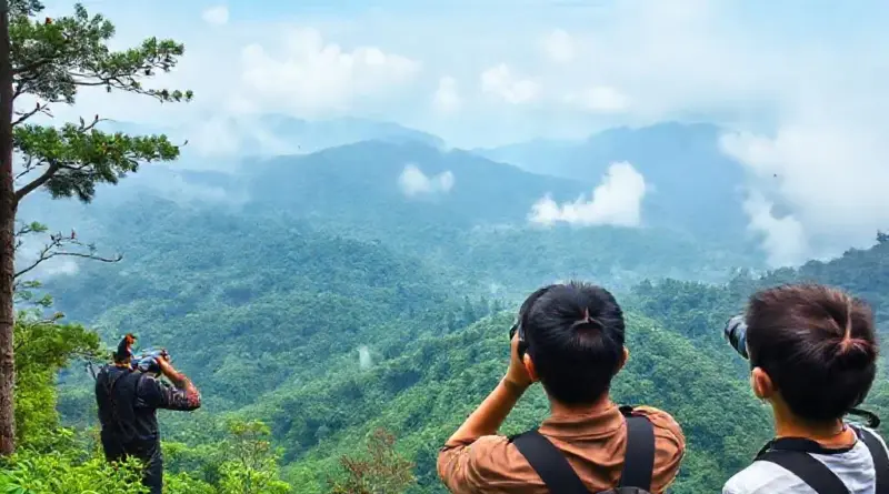 Best Trails, Viewpoints, and Local Guides for Spotting Birds on Doi Inthanon
