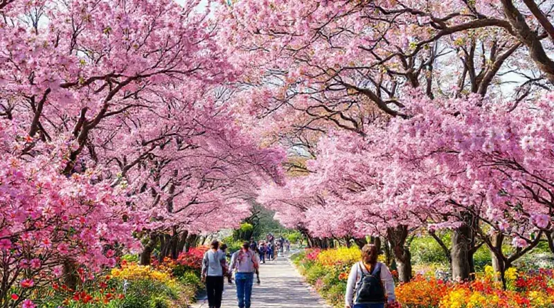 Best times to visit Royal Park Rajapruek 2025 — complete bloom calendar, peak flowering weeks and weather tips