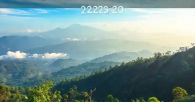 Birdwatching Doi Inthanon 2025: Complete Guide to Species, Seasons, and Where to See Them