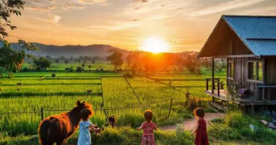 Family Farmstays Near Mae Taeng 2025: Best Places to Stay with Animals, Rice Field Views, and Kid-Friendly Activities