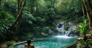 Forest Spas in Mae Rim 2025: Ultimate Guide to Waterfall Soundscapes, Wellness Retreats, and How to Plan Your Visit