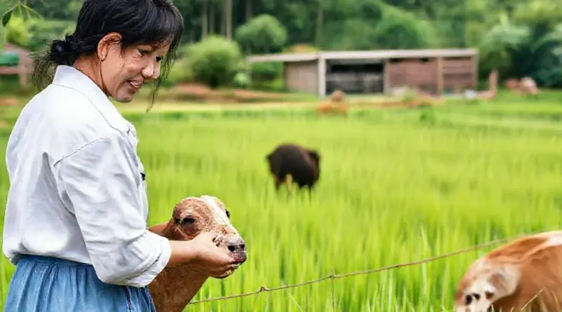 What to Expect on a Mae Taeng Farmstay: Animal Encounters, Rice-Field Experiences, Daily Schedules, and Facilities for Kids