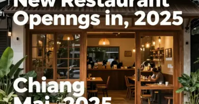 New Restaurants in Chiang Mai 2025: The Best Openings to Try Now