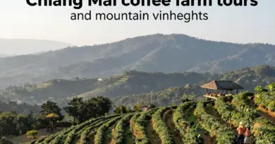 Chiang Mai 2025: The Ultimate Guide to Coffee Farm Tours and Mountain Viewpoints