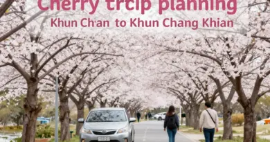 H2: How to Plan Your Trip to Khun Chang Khian for Cherry Blossom Season: Routes, Transport, and Timing