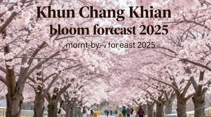 When Will Khun Chang Khian Sakura Bloom in 2025? Month-by-Month Forecast and Peak Viewing Window