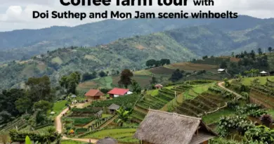 How to Combine Coffee Farm Visits with Doi Suthep, Mon Jam, and Other Must-See Lookouts