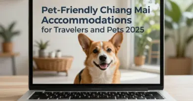 Pet-Friendly Accommodations in Chiang Mai 2025: Best Stays for Travelers and Their Pets