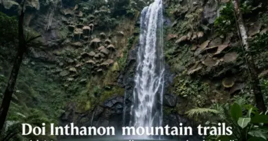 Top Doi Inthanon Trails: Waterfalls, Nature Walks, and Scenic Viewpoints