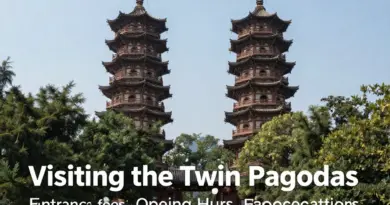 Visiting the Twin Pagodas: Entry Fees, Opening Hours, and What to Expect