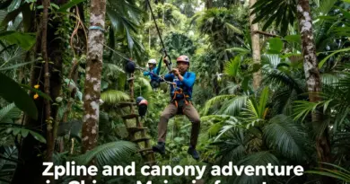 What Are the Best Zipline and Canopy Tours in Chiang Mai for 2025?