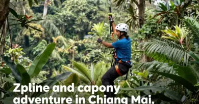 Zipline and Canopy Tours in Chiang Mai 2025: The Ultimate Guide to the Best Adventure Experiences in Northern Thailand