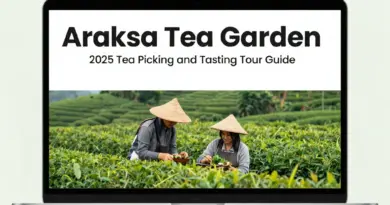 Araksa Tea Garden 2025 Guide to Tea Picking and Tasting Tours