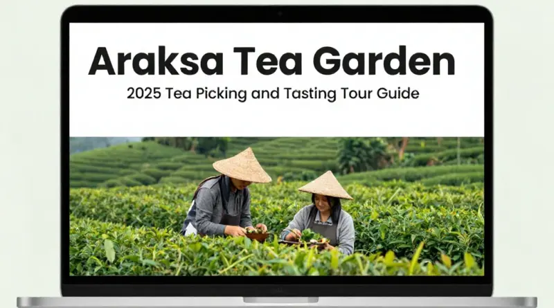 Araksa Tea Garden 2025 Guide to Tea Picking and Tasting Tours
