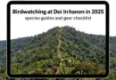 Birdwatching at Doi Inthanon in 2025: A Complete Guide to Species, Guides, and Gear