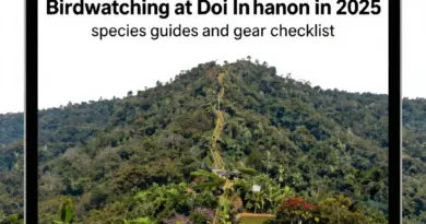Birdwatching at Doi Inthanon in 2025: A Complete Guide to Species, Guides, and Gear