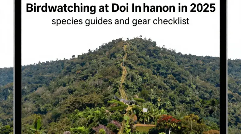 Birdwatching at Doi Inthanon in 2025: A Complete Guide to Species, Guides, and Gear